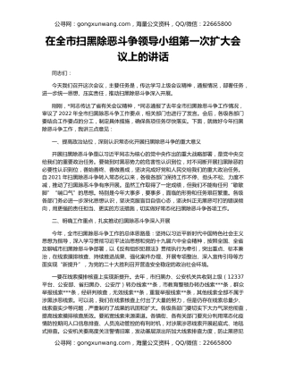 在全市扫黑除恶斗争领导小组第一次扩大会议上的讲话