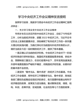 学习中央经济工作会议精神发言提纲