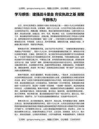 学习感悟：建强战斗堡垒 夯实执政之基 凝聚干群伟力