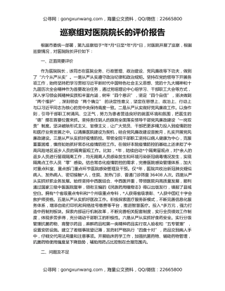 巡察组对医院院长的评价报告