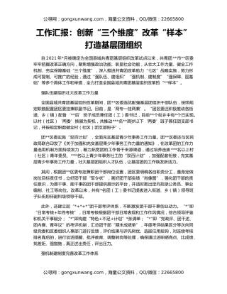 工作汇报：创新“三个维度”改革“样本”打造基层团组织