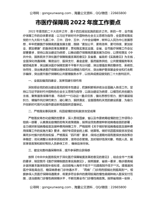 市医疗保障局2022年度工作要点
