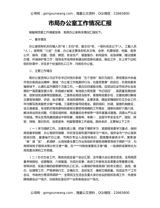 市局办公室工作情况汇报