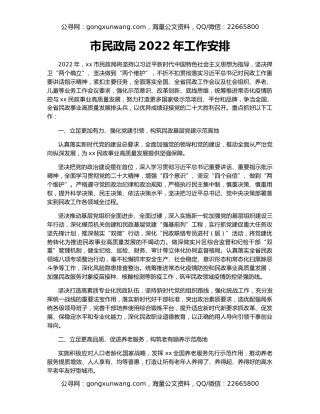 市民政局2022年工作安排