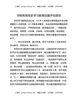 市税务局党史学习教育自查评估报告