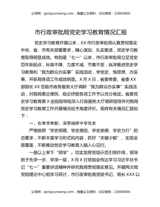市行政审批局党史学习教育情况汇报