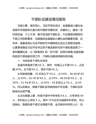 干部队伍建设情况报告