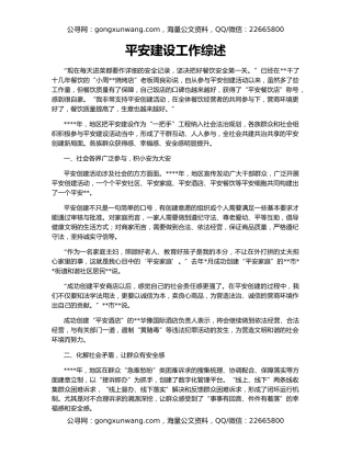 平安建设工作综述