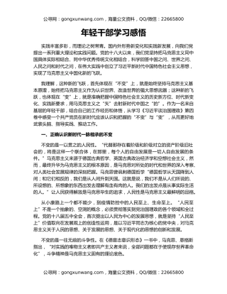 年轻干部学习感悟