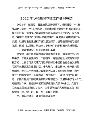 2022年乡村基层党建工作情况总结