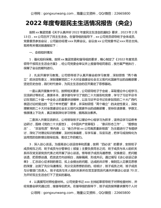 2022年度专题民主生活情况报告（央企）