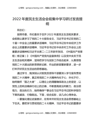 2022年度民主生活会会前集中学习研讨发言提纲