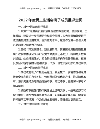 2022年度民主生活会班子成员批评意见