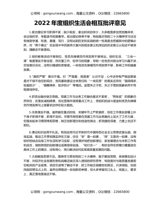 2022年度组织生活会相互批评意见