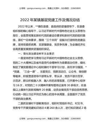 2022年某镇基层党建工作及情况总结