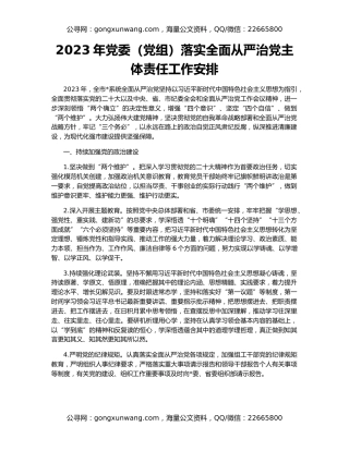 2023年党委（党组）落实全面从严治党主体责任工作安排