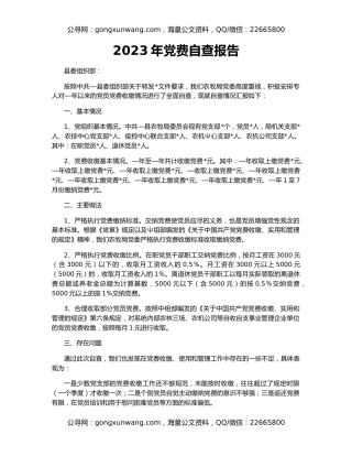 2023年党费自查报告