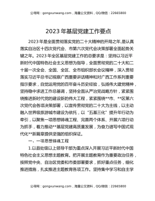 2023年基层党建工作要点