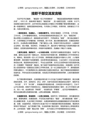 挂职干部交流发言稿