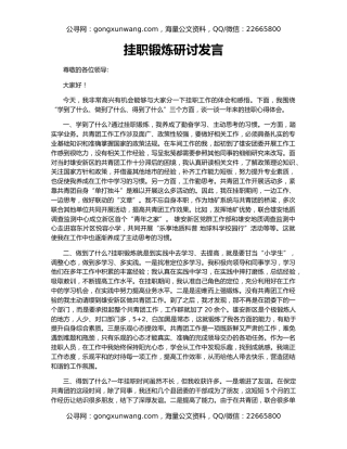 挂职锻炼研讨发言