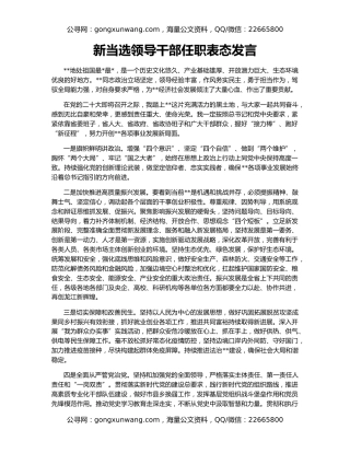 新当选领导干部任职表态发言