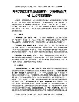 两新党建工作典型经验材料：示范引领促成长  以点带面同提升