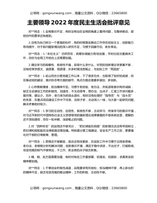 主要领导2022年度民主生活会批评意见