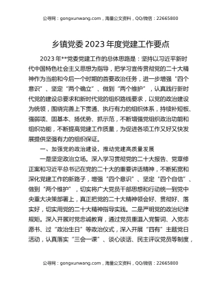 乡镇党委2023年度党建工作要点