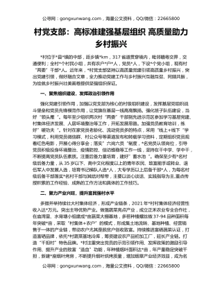 村党支部：高标准建强基层组织 高质量助力乡村振兴