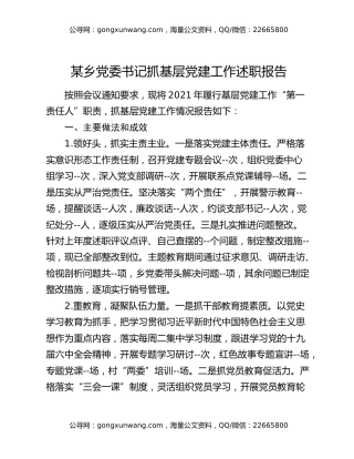某乡党委书记抓基层党建工作述职报告