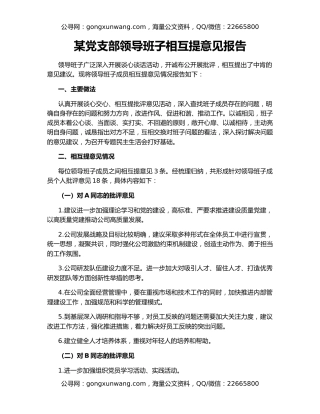 某党支部领导班子相互提意见报告