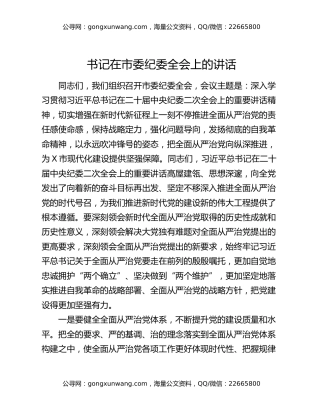 书记在市委纪委全会上的讲话