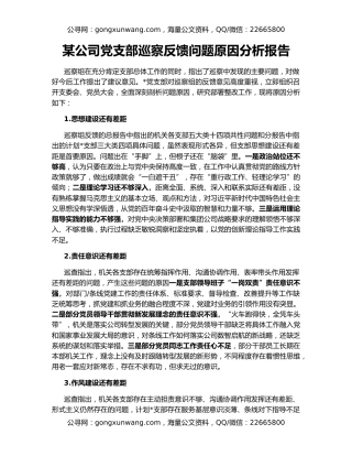 某公司党支部巡察反馈问题原因分析报告