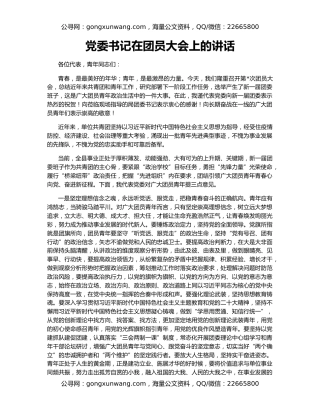党委书记在团员大会上的讲话