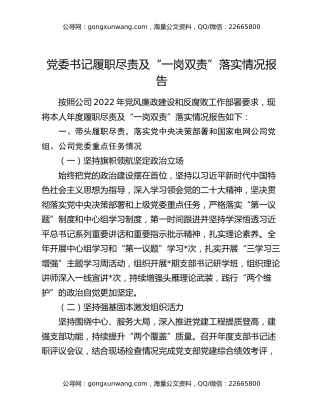 党委书记履职尽责及“一岗双责”落实情况报告