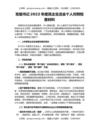 党组书记2022年度民主生活会个人对照检查材料