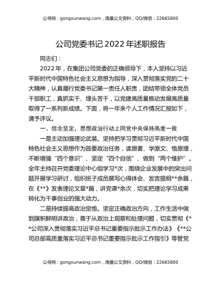 公司党委书记2022年述职报告
