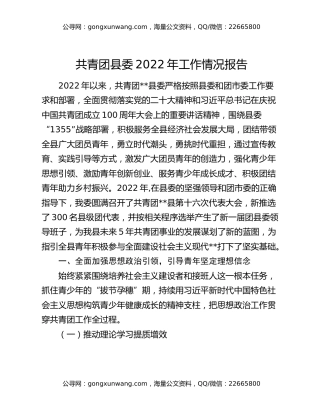 共青团县委2022年工作情况报告