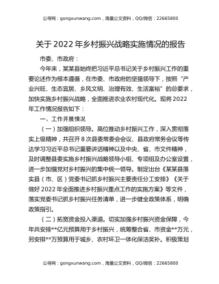 关于2022年乡村振兴战略实施情况的报告
