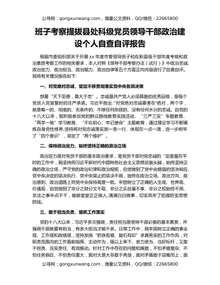 班子考察提拔县处科级党员领导干部政治建设个人自查自评报告