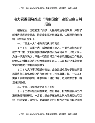 电力党委围绕推进“清廉国企”建设自查自纠报告