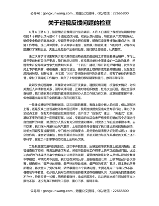 关于巡视反馈问题的检查