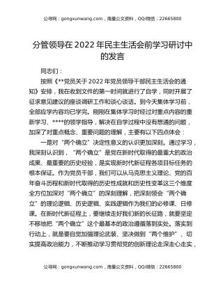 分管领导在2022年民主生活会前学习研讨中的发言