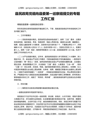 县民政局党组向县委第一巡察组提交的专题工作汇报