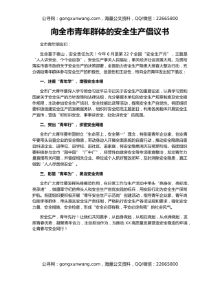 向全市青年群体的安全生产倡议书