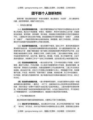 团干部个人剖析材料