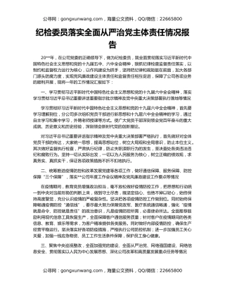 纪检委员落实全面从严治党主体责任情况报告