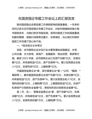 在国资国企专题工作会议上的汇报发言