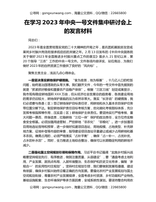 在学习2023年中央一号文件集中研讨会上的发言材料