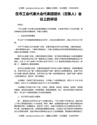 在市工会代表大会代表团团长（召集人）会议上的讲话